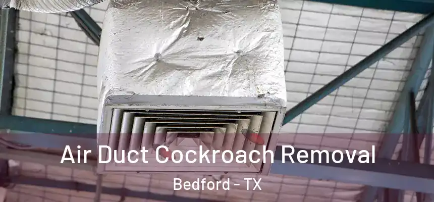  Air Duct Cockroach Removal Bedford - TX