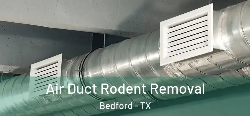  Air Duct Rodent Removal Bedford - TX