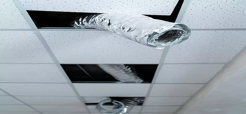 Our Air Duct Pet Hair Removal Services in Bedford, TX