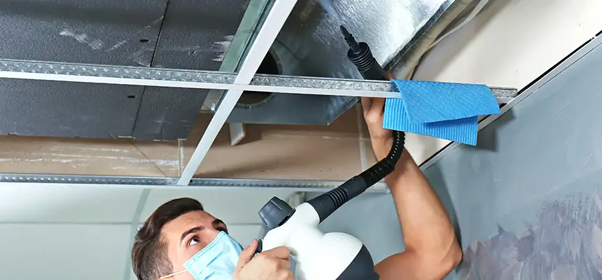 Our Air Duct Rodent Removal Services in Bedford, TX