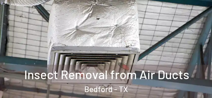  Insect Removal from Air Ducts Bedford - TX