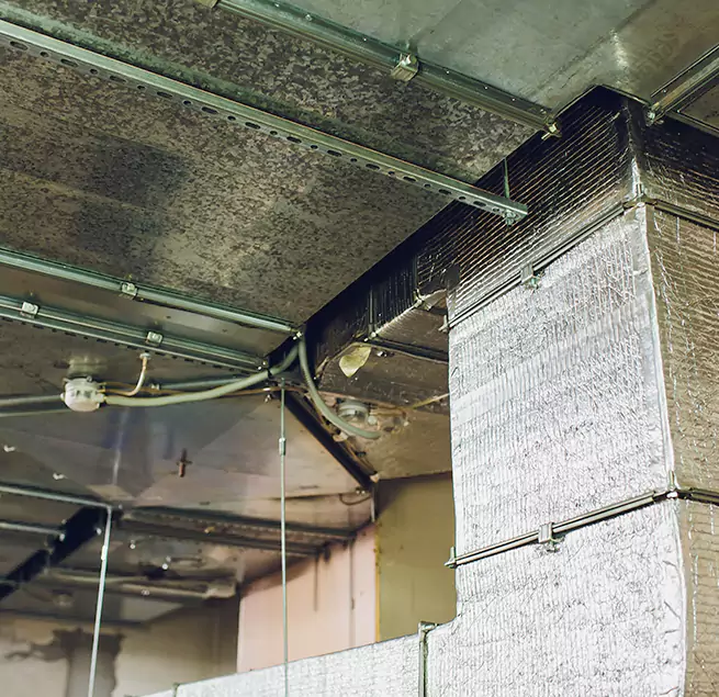 Why Homeowners & Businesses Trust Us in Bedford, TX?